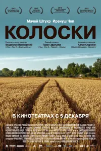 Мацей Штур, Ирениуш Чоп, Збигнев Замаховский, Данута